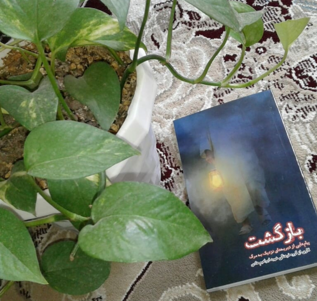 بازگشت: پیام‌هایی از تجربه‌های نزدیک به مرگ