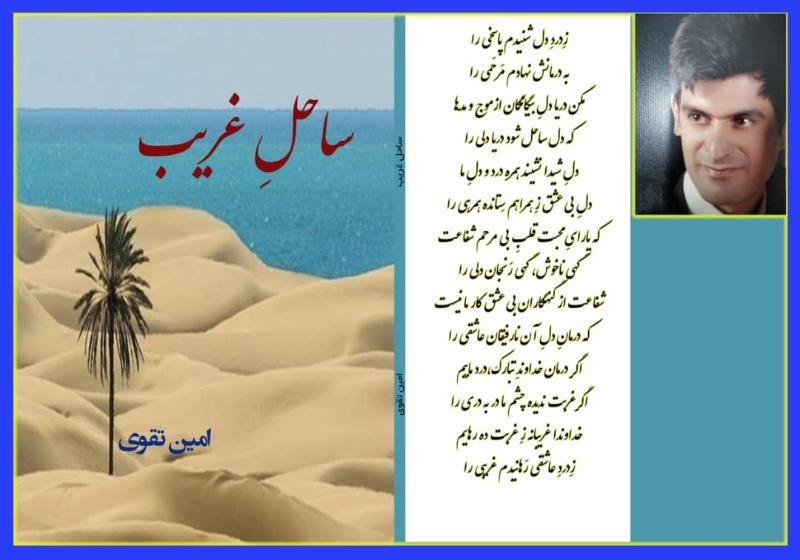 ساحل غریب