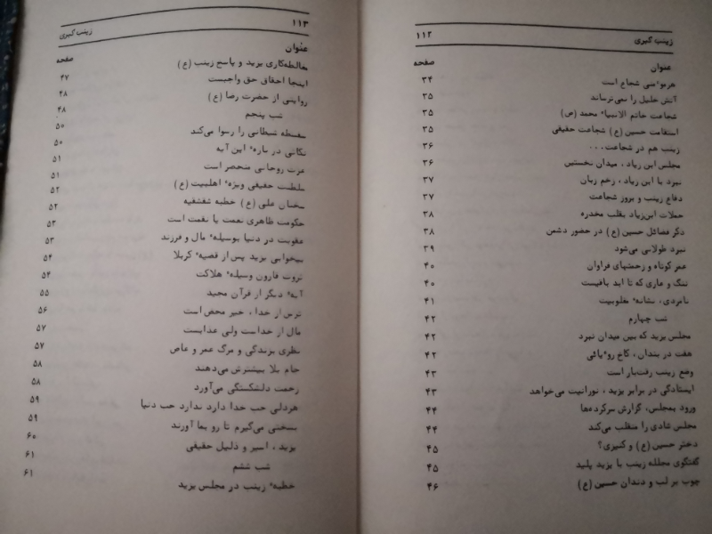 زندگانی حضرت زینب سلام الله علیها دختر امیرمومنان علی علیه السلام