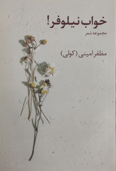 خواب نیلوفر!: مجموعه شعر