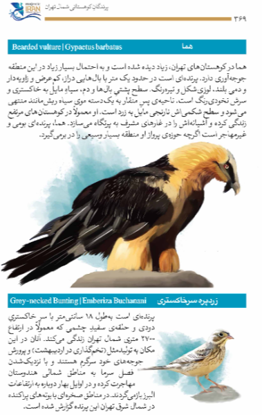 تهران؛ شکوه قلهها