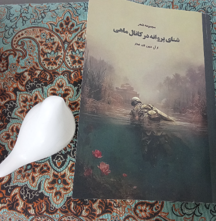 شنای پروانه درکانال ماهی