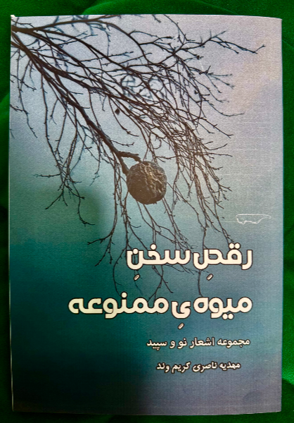رقص سخن میوه‌ی ممنوعه: مجموعه شعری کوچک از شعر نو و سپید
